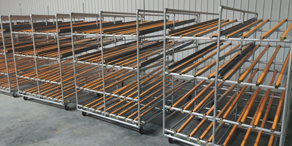 �����l؛��